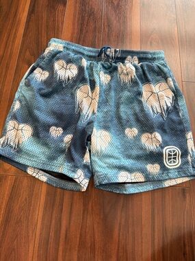 Men's Athletic Mesh Shorts in Blue with Heart Print